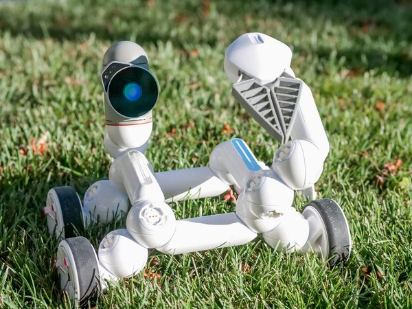 Création de votre site prestashop à lyon : performance garantie !